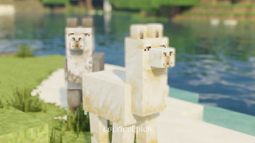 Baby Lama  Minecraft Skin